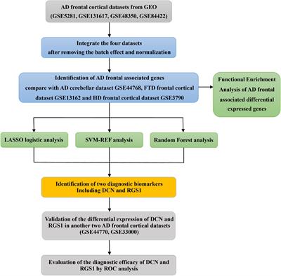Identification of biomarkers differentiating Alzheimer’s disease from other neurodegenerative diseases by integrated bioinformatic analysis and machine-learning strategies